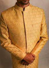 Men Zouq Sherwani